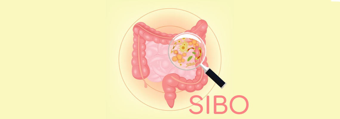 Sindrome Dell Intestino Irritabile E Sibo Sintomi Trattamento E